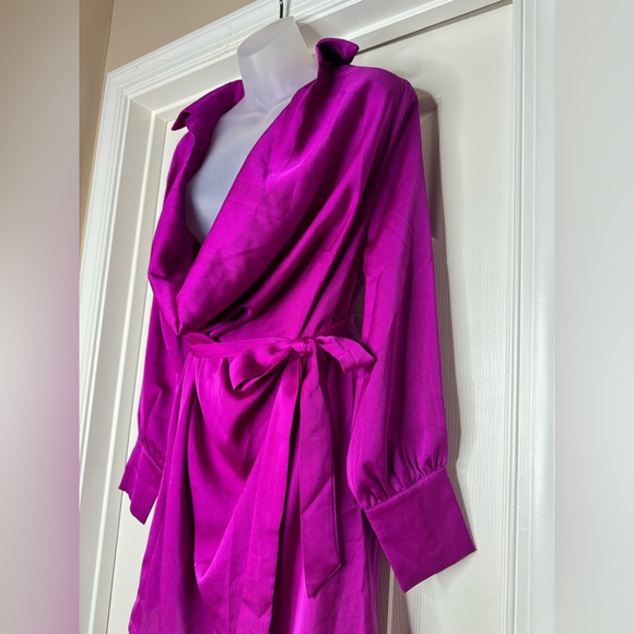 Magenta Mini Dress - Picture 8 of 12